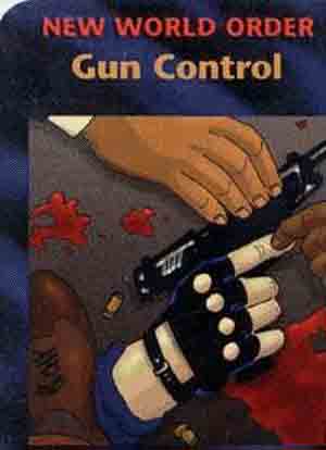  gun control
