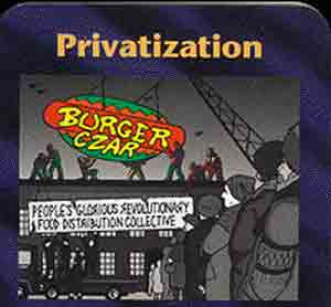  privatization